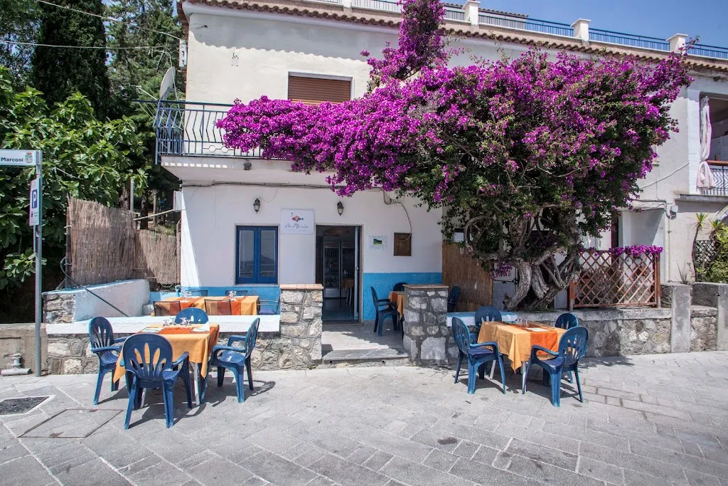 Ristorante da Mario_Scario_slider_image_3