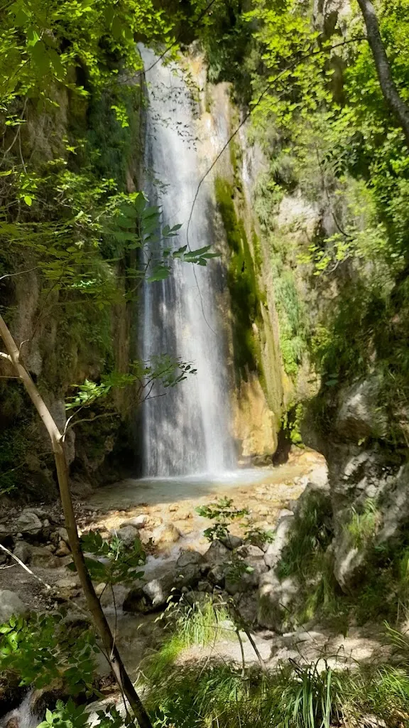 Vicky_Bar Zarrillo_Senerchia_review