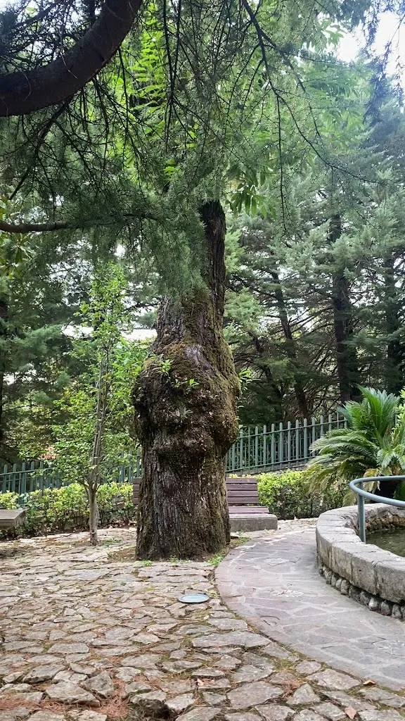 Simone Boccia_Boschetto_Serino_Bewertung