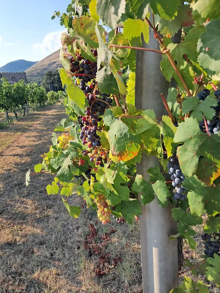 Luigi Antonio Russo_Agriturismo La Starza_Starza Vecchia_review