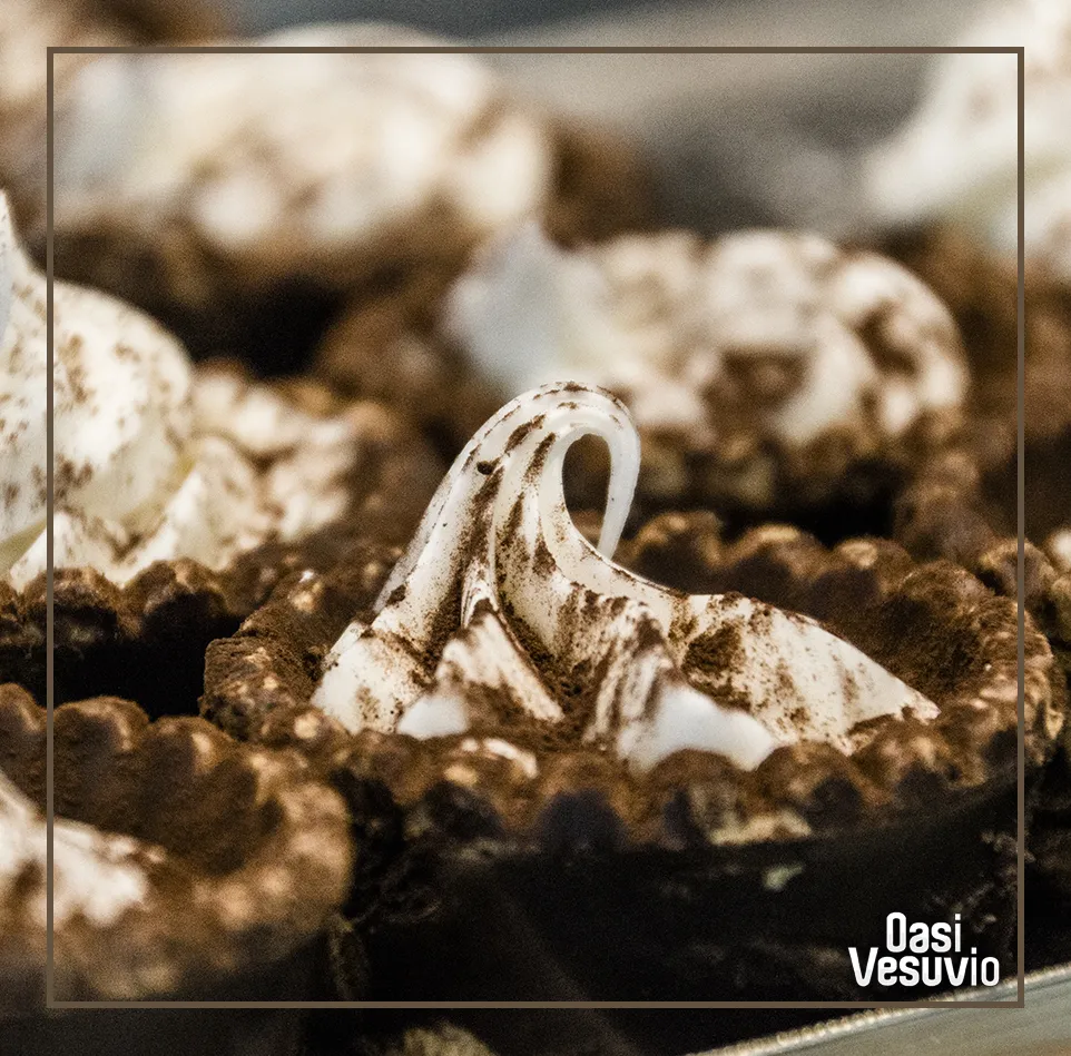 Menu_Oasi Vesuvio_Starza Vecchia_image_4