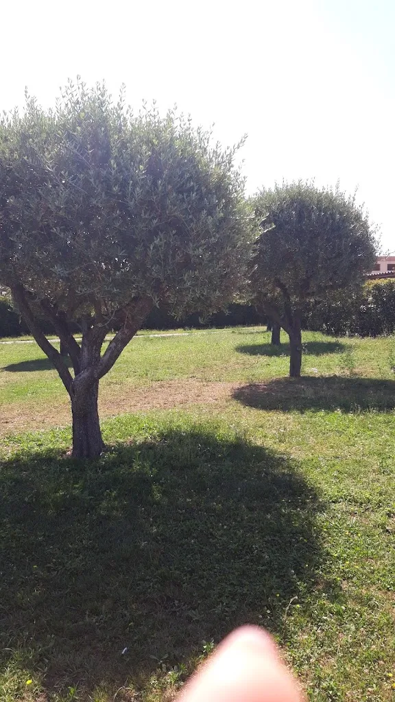 Rita Astarita_Oasi Vesuvio_Starza Vecchia_review