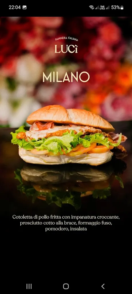 Menu_Lucì Panineria Italiana_Somma Vesuviana_image_4