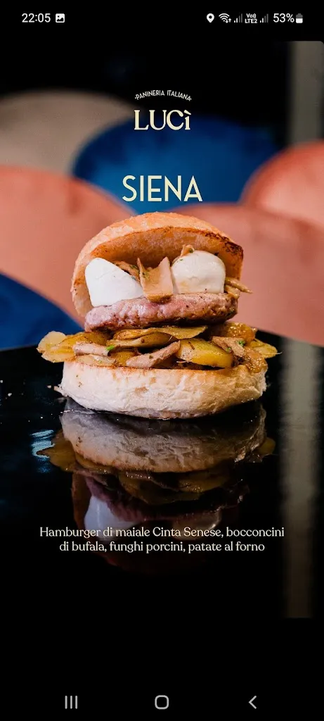 Menu_Lucì Panineria Italiana_Somma Vesuviana_image_8