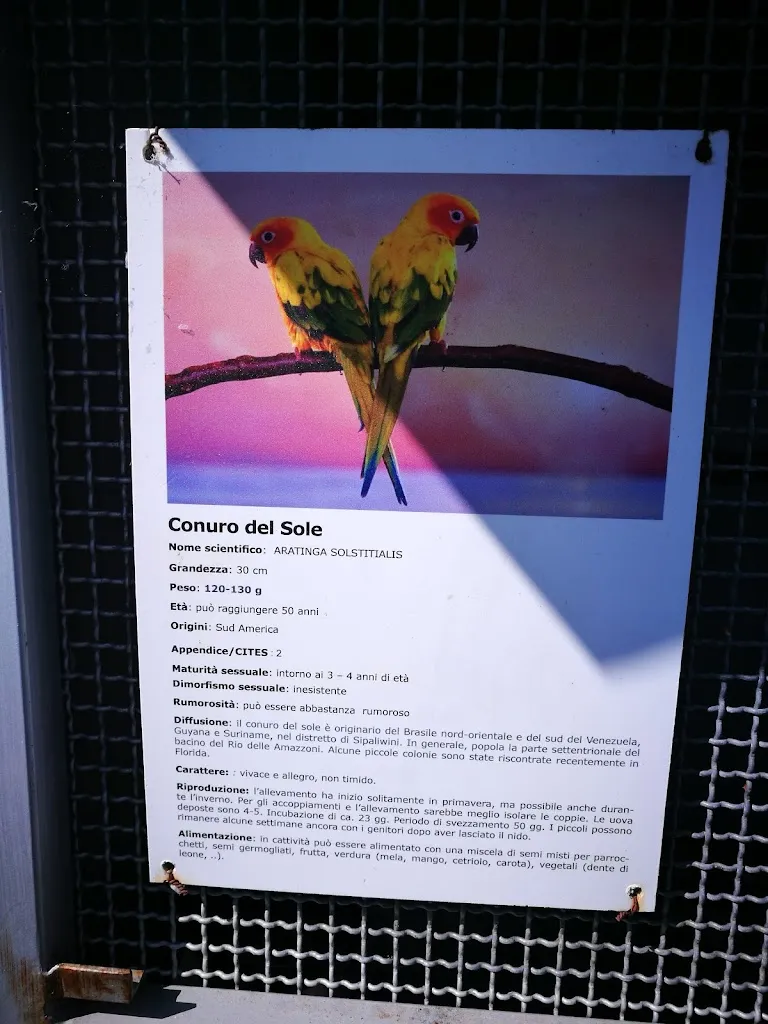 Menu_La Cortigiana Del Re_Somma Vesuviana_image_4