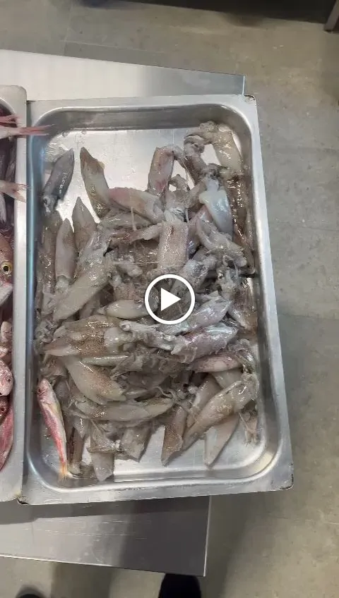 Osteria Stella SRL_Stella_slider_image_2