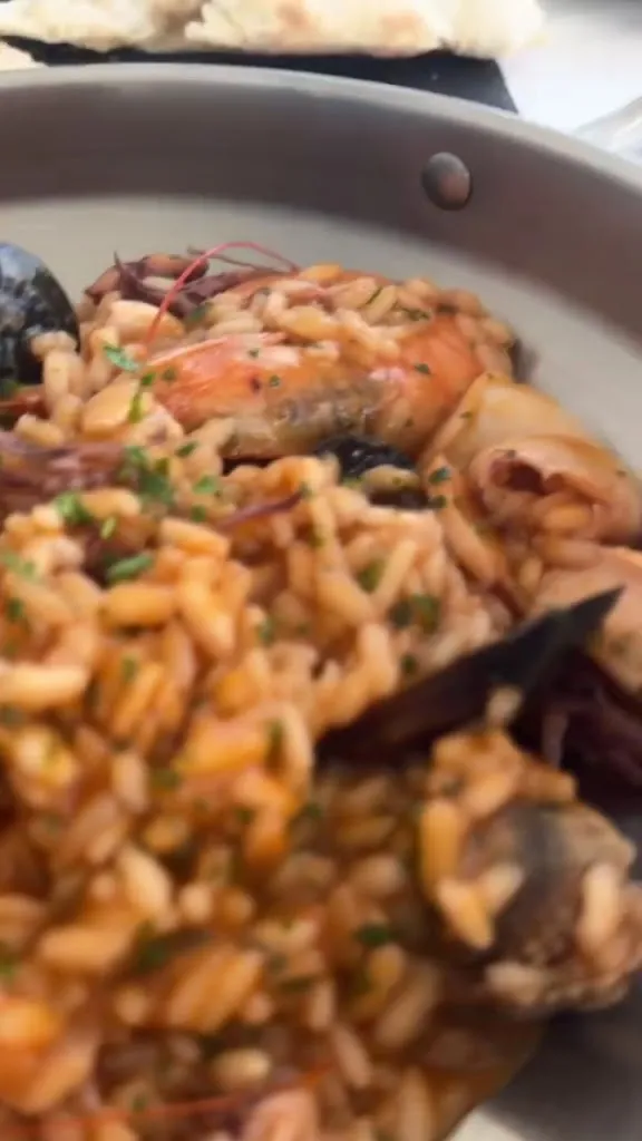 Екатерина Никифорова_Stella Marina_Stella_review