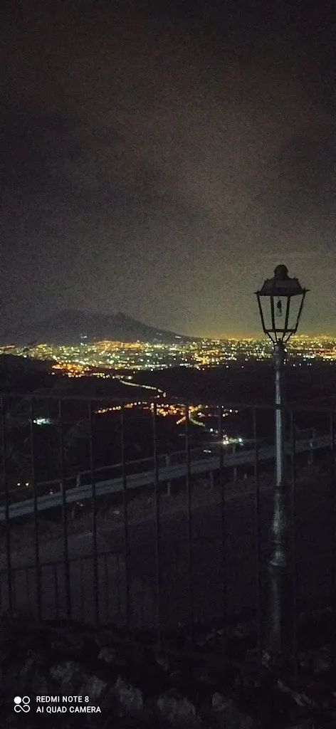 Tms 77_Antica Fraconia_Taurano_review