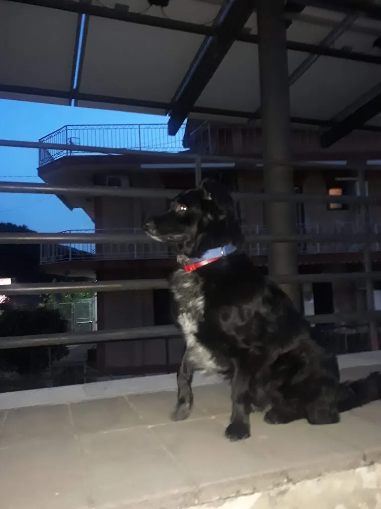 Bar La Piazzetta_Taurano_slider_image_3