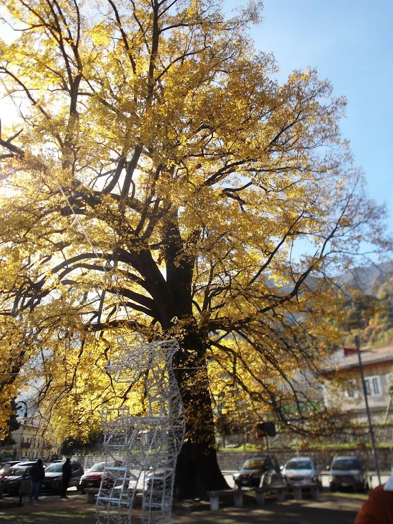 Mario Esposito_Ristorante Aurum_Summonte_review