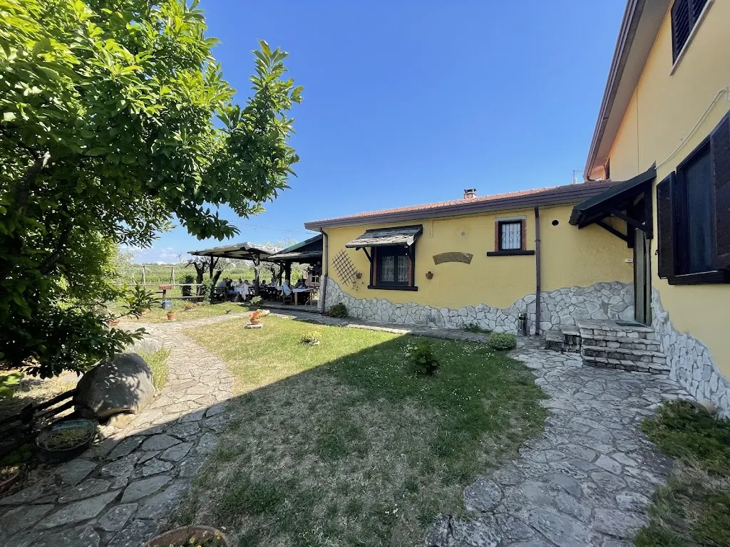 LordGuruclef_The Farm Baron refuge_Taurasi_review