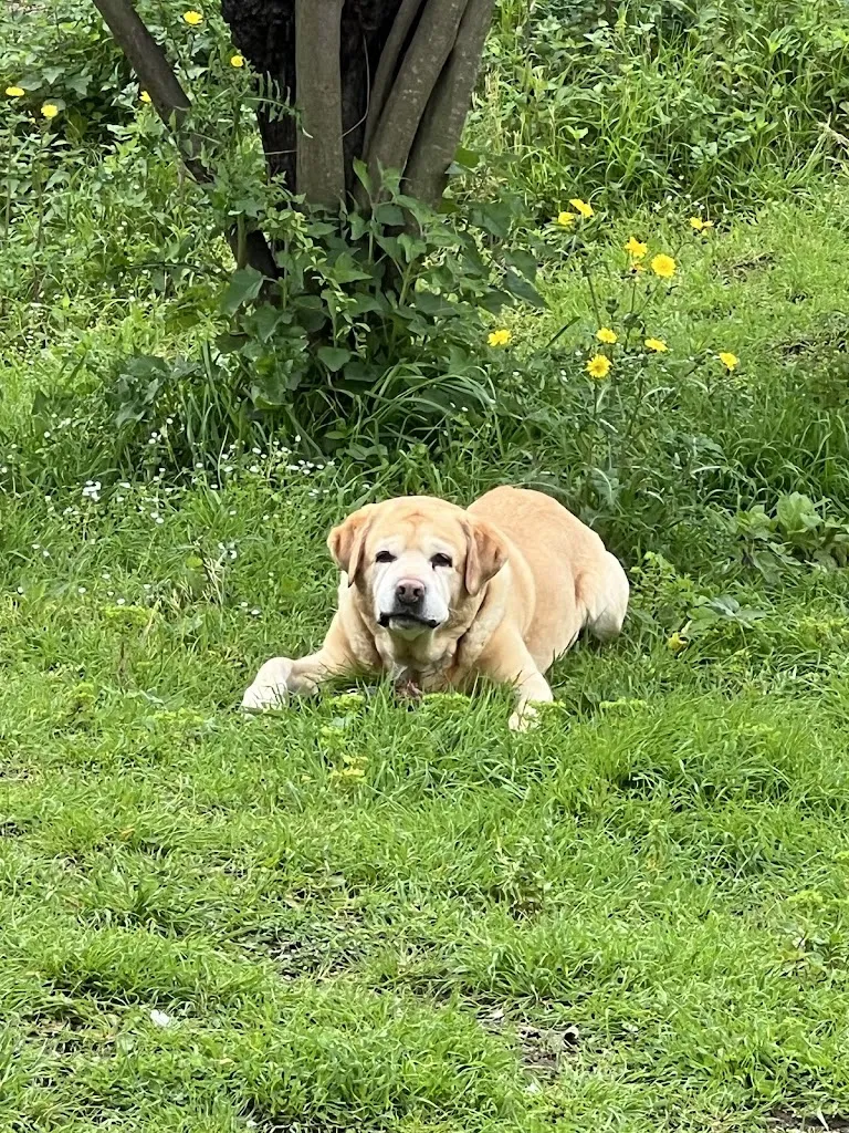 Gianki Ds_The Farm Baron refuge_Taurasi_review