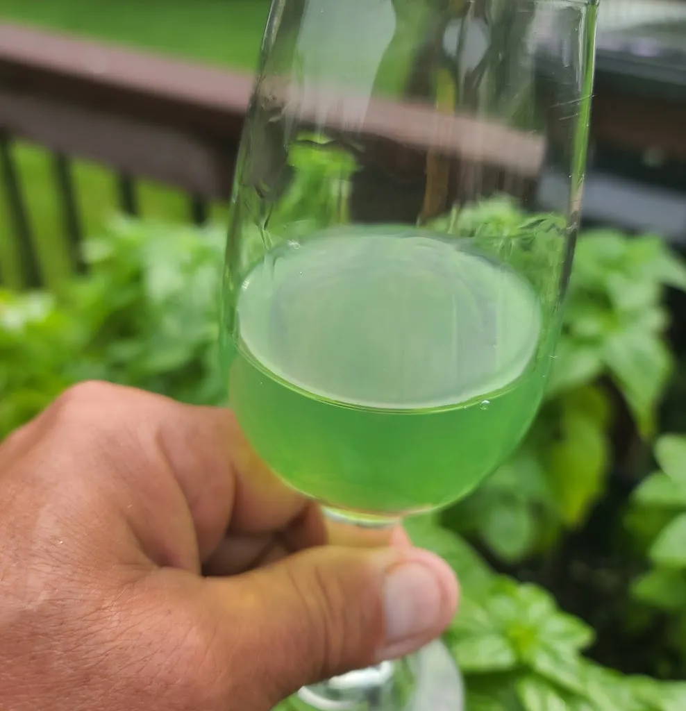 Menu_L'Archetto di Capone & C._Taurasi_image_4