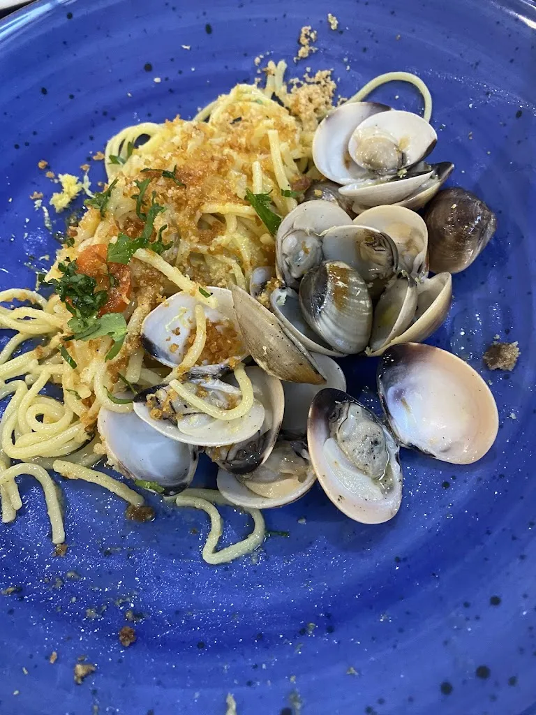 Nazzareno Nazzi_Taurasi_Taurasi_review