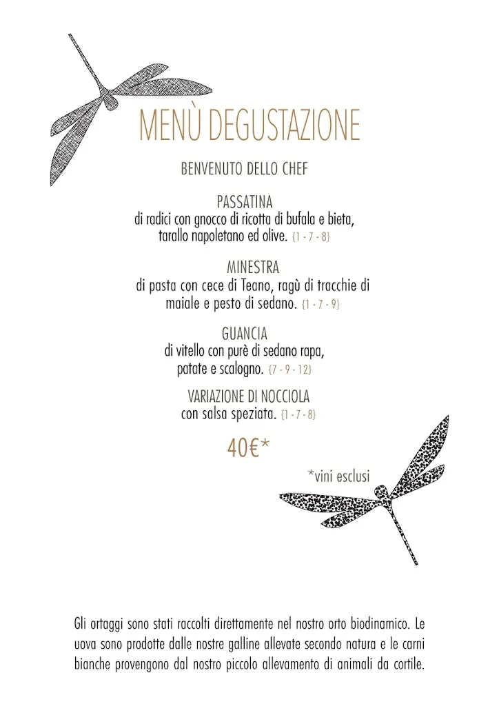 Menu_Humus Ristorante_Teano_image_1