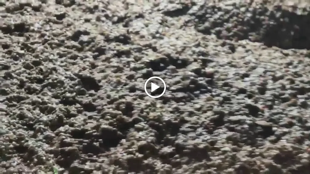 La Veduta - agriturismo_Torre le Nocelle_slider_image_2