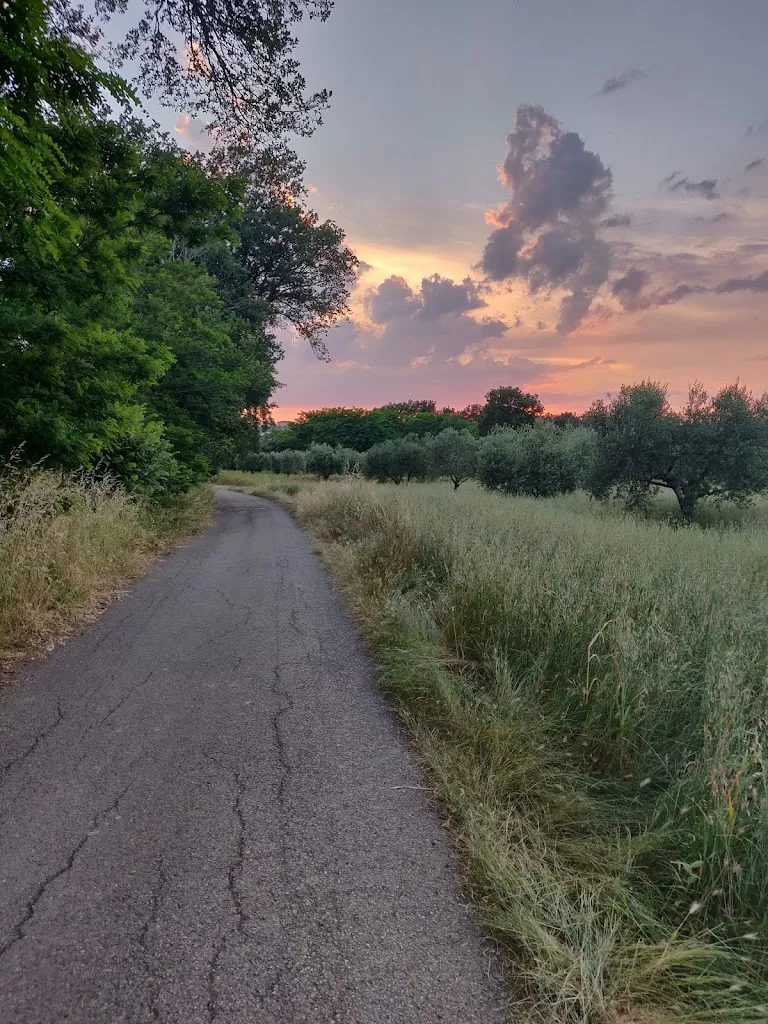 Fabio Rossetti_Campoceraso_Torre le Nocelle_review