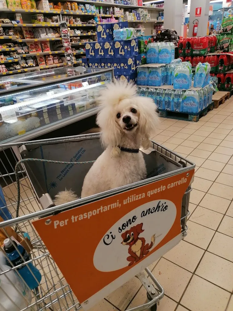 Rad10 d3mon_Old Wild West_Montesilvano Marina_review