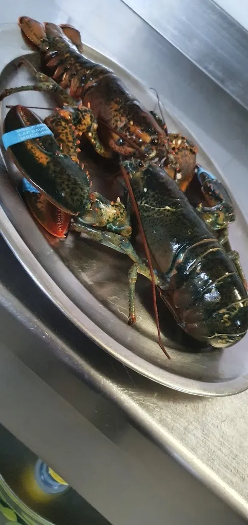 Menu_Ristorante-Pizzeria 