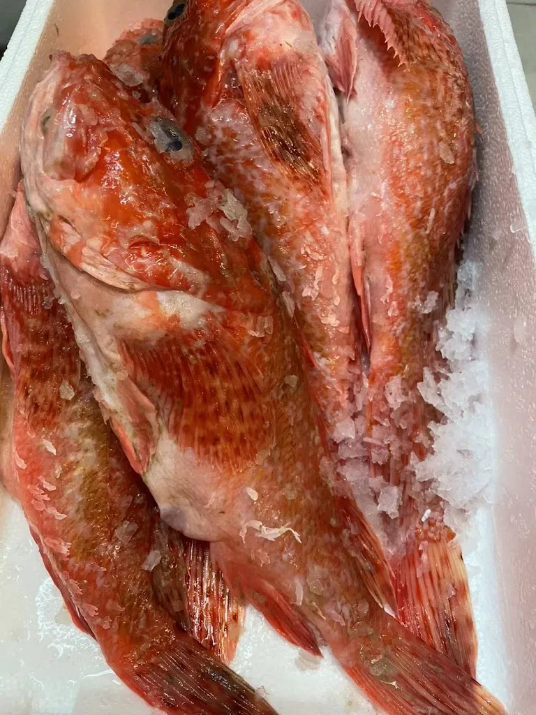 Menu_Ristorante Xin Hua Qiao_Terzigno_immagine_4