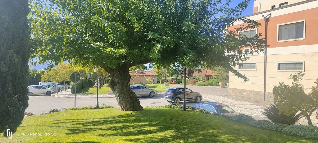 Armando Buonpane_Ristorante la Rossella_Torrecuso_review