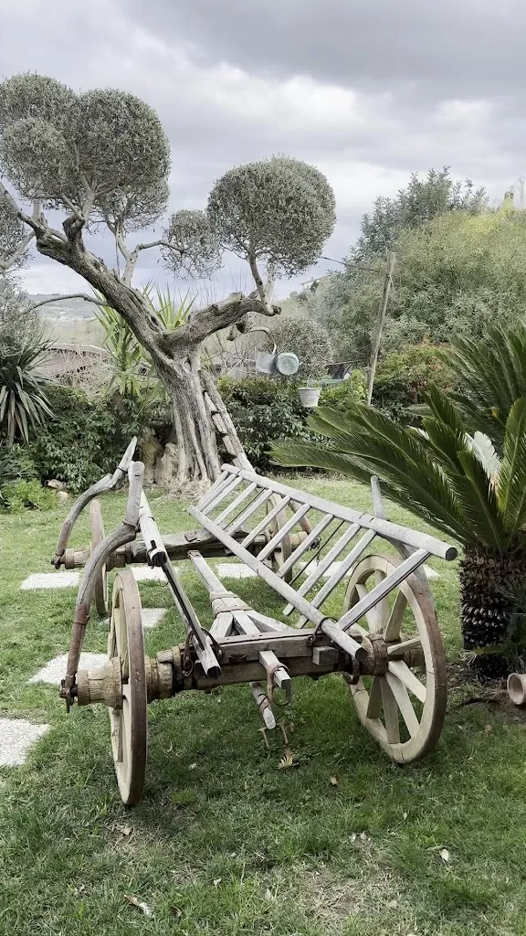 Agriturismo La Stella del Taburno_Torrecuso_slider_image_2