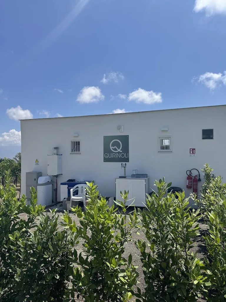 Ashley Austin_Quirinoli_Trecase_review