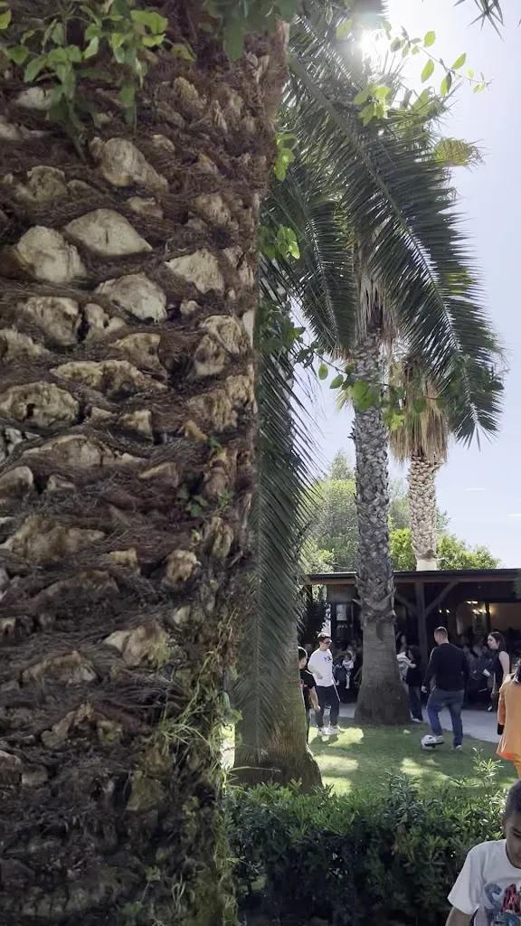 ciro scarallo_Tenuta degli Antichi Sapori_Torretta-Scalzapecora_review