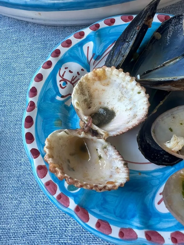 Brendon Sh_Il Principe e la Civetta_Vietri sul Mare_recensione