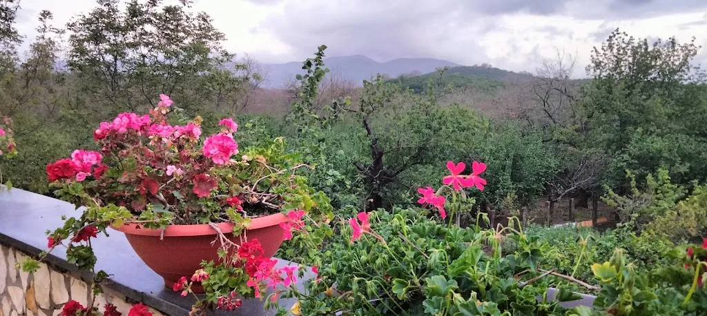 La Concordia_Visciano_slider_image_2