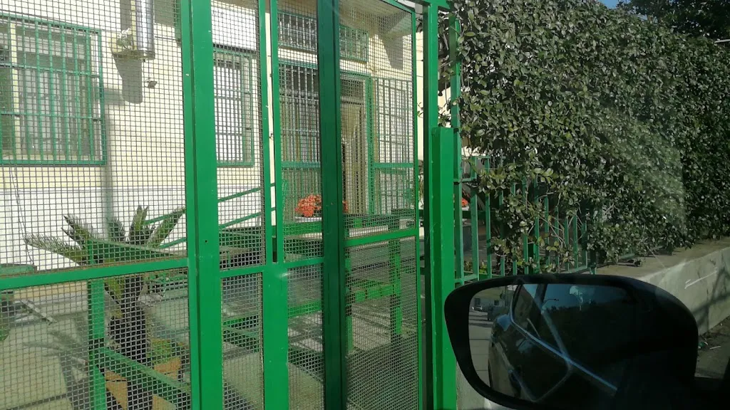 Paco Irace_Ristorante Pizzeria Da Nando_Villa Literno_review