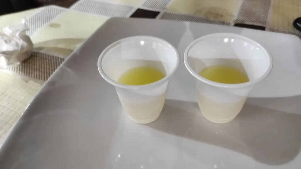 Menü_Pizzeria Giglione_Villa Literno_Bild_8