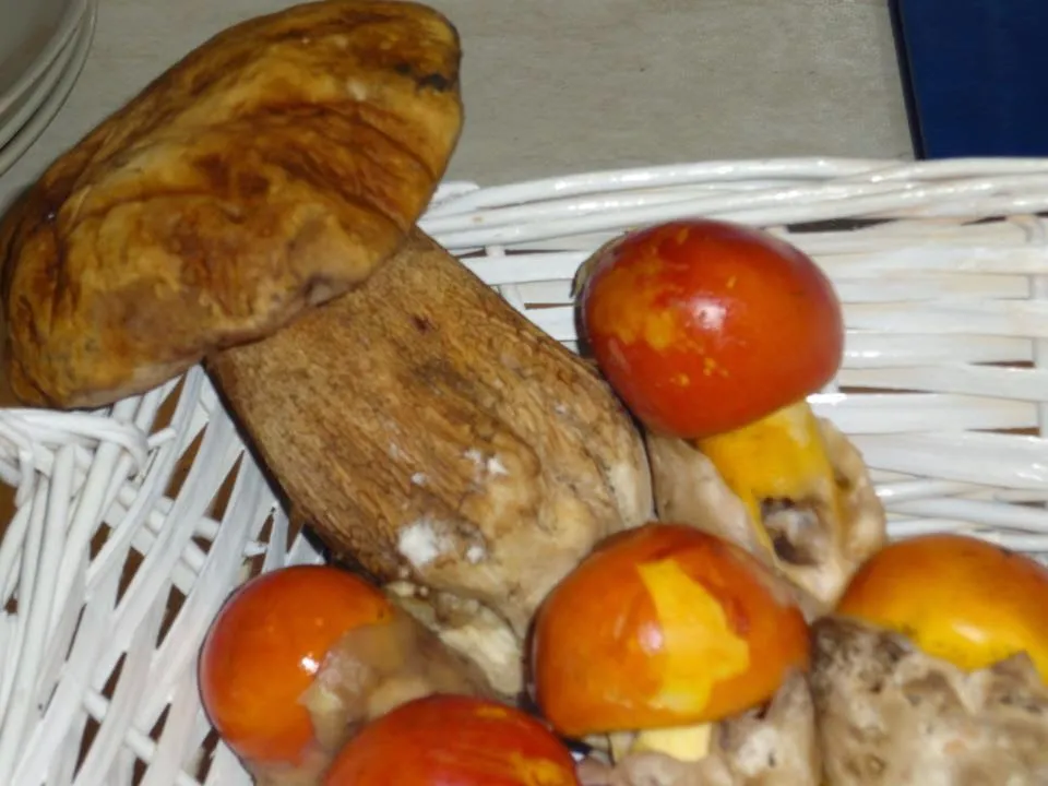 Taverna Morecese - Ristorante - Pizzeria - Trattoria_Volturara Irpina_slider_image_3