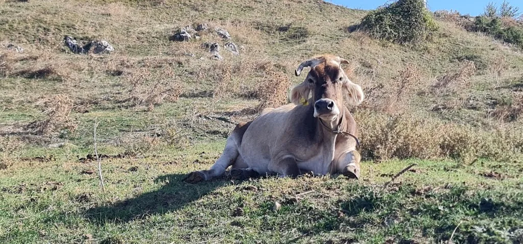 Domenico Di Giorgio_Agriturismo La Torre_Zungoli_review