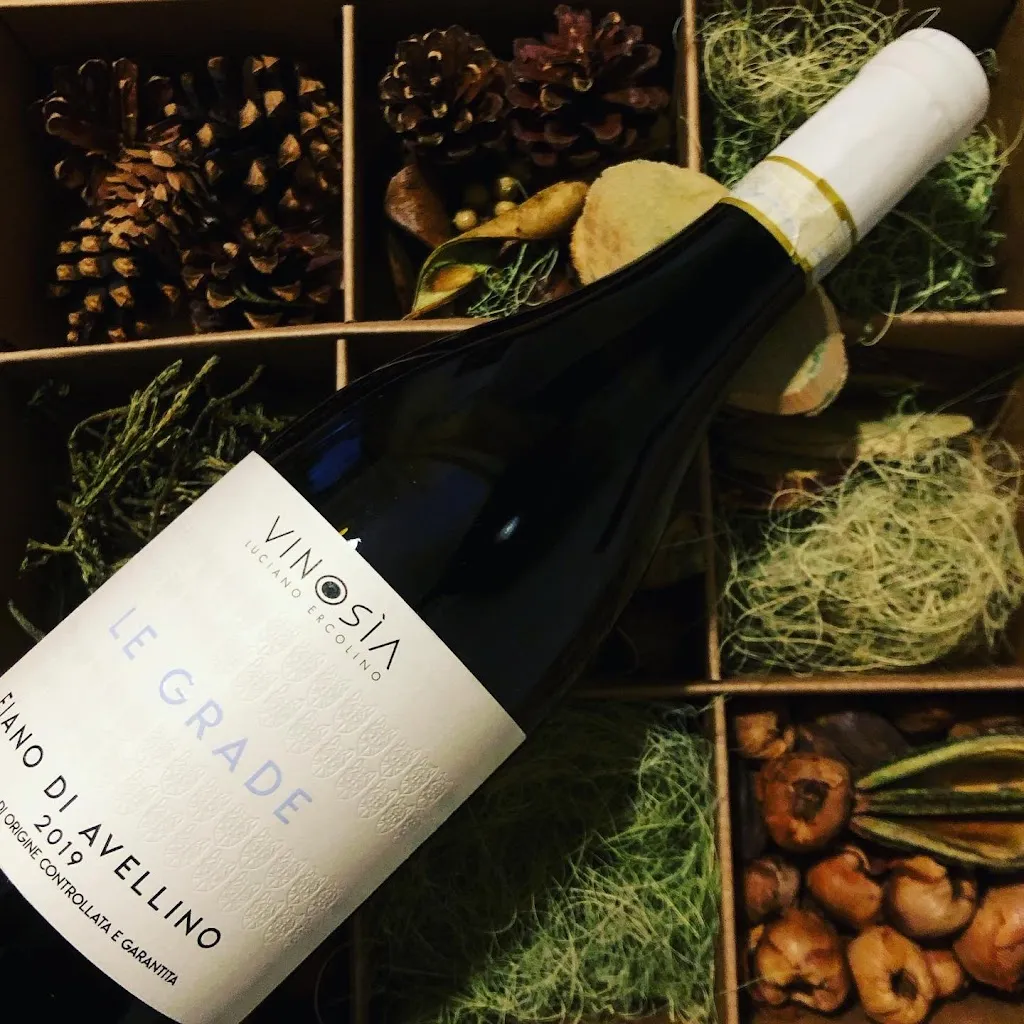 Menu_Zetaquadro Yolo_Zungoli_image_1