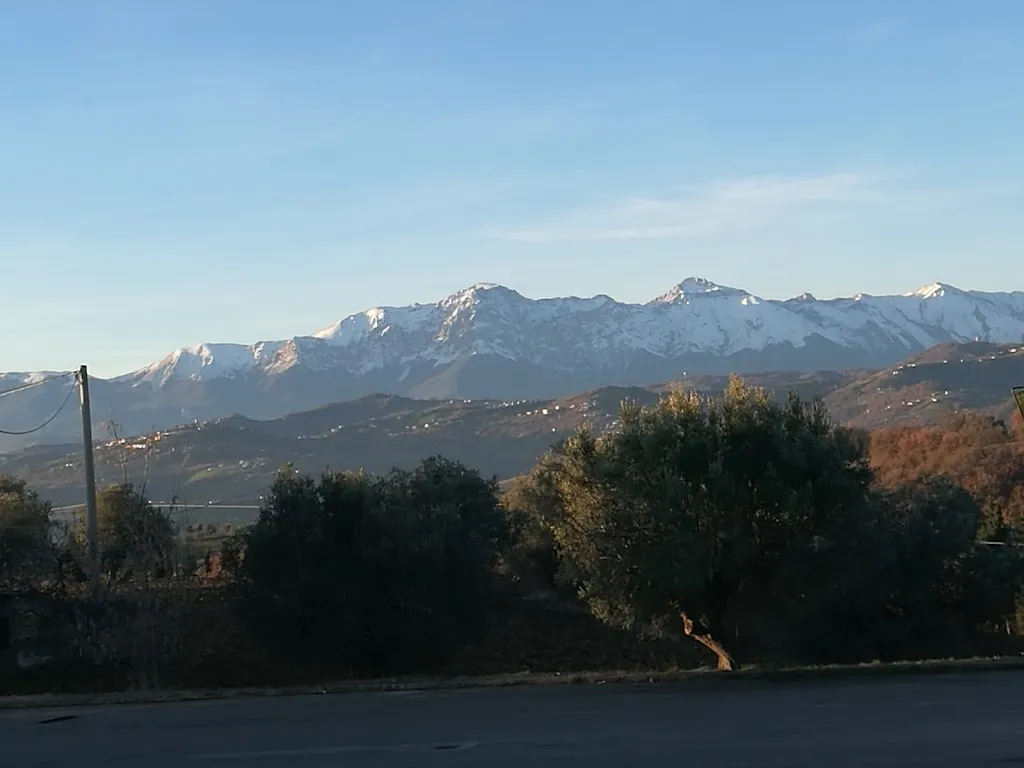 Jolly Dance & Restaurant_Notaresco_slider_image_2