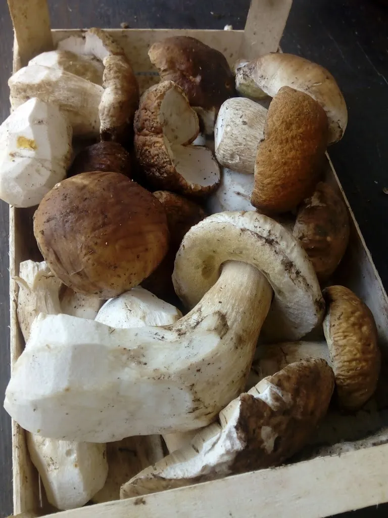 Menu_Agriturismo Il Calle_Agazzano_image_8