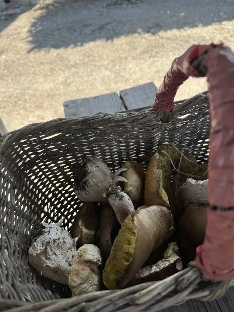 Stefano Camin_Osteria dei Bassi_Albareto_review