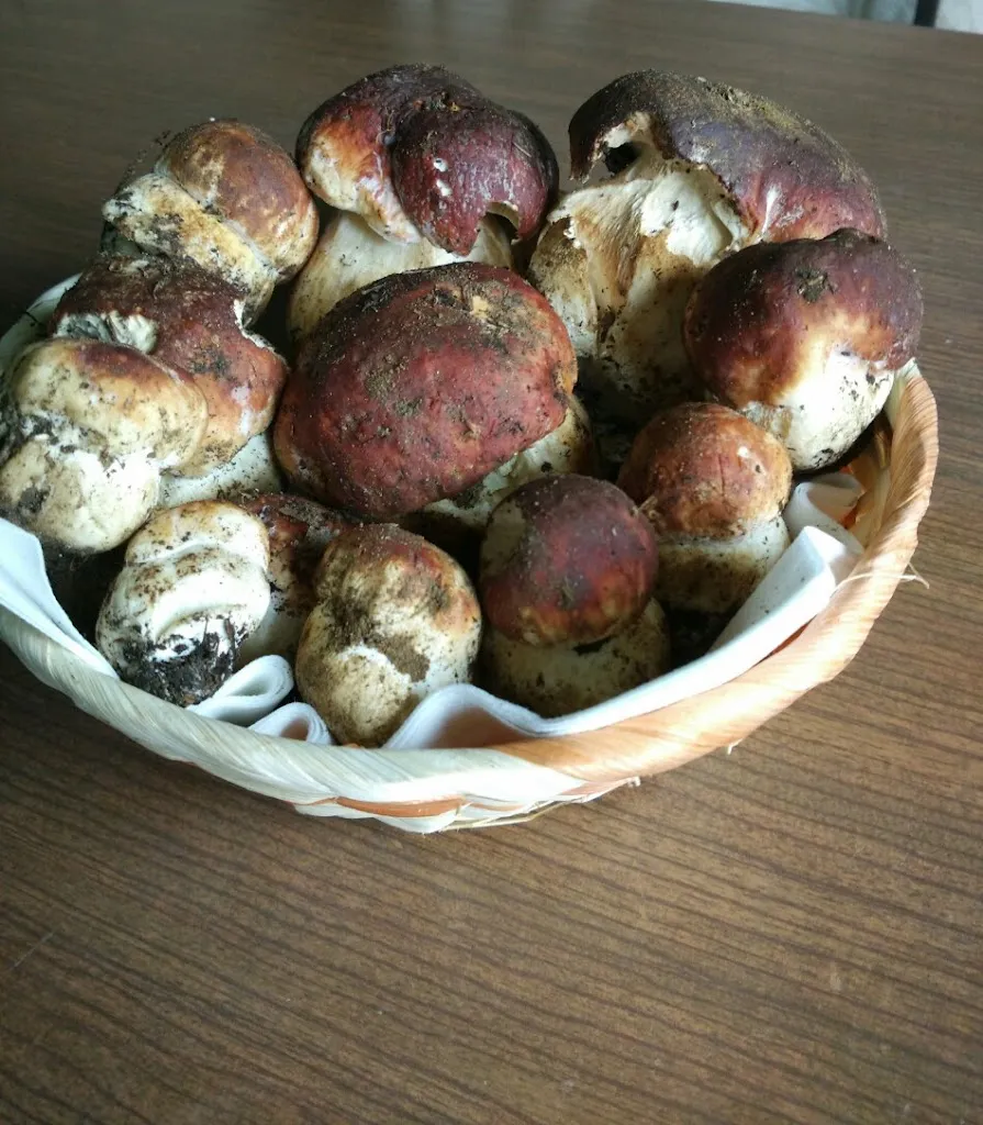 Menu_Albergo Ristorante Berzolla - Albareto_Albareto_image_4