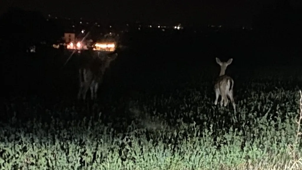 Jie_Agriturismo La Quercia Verde_Alseno_review