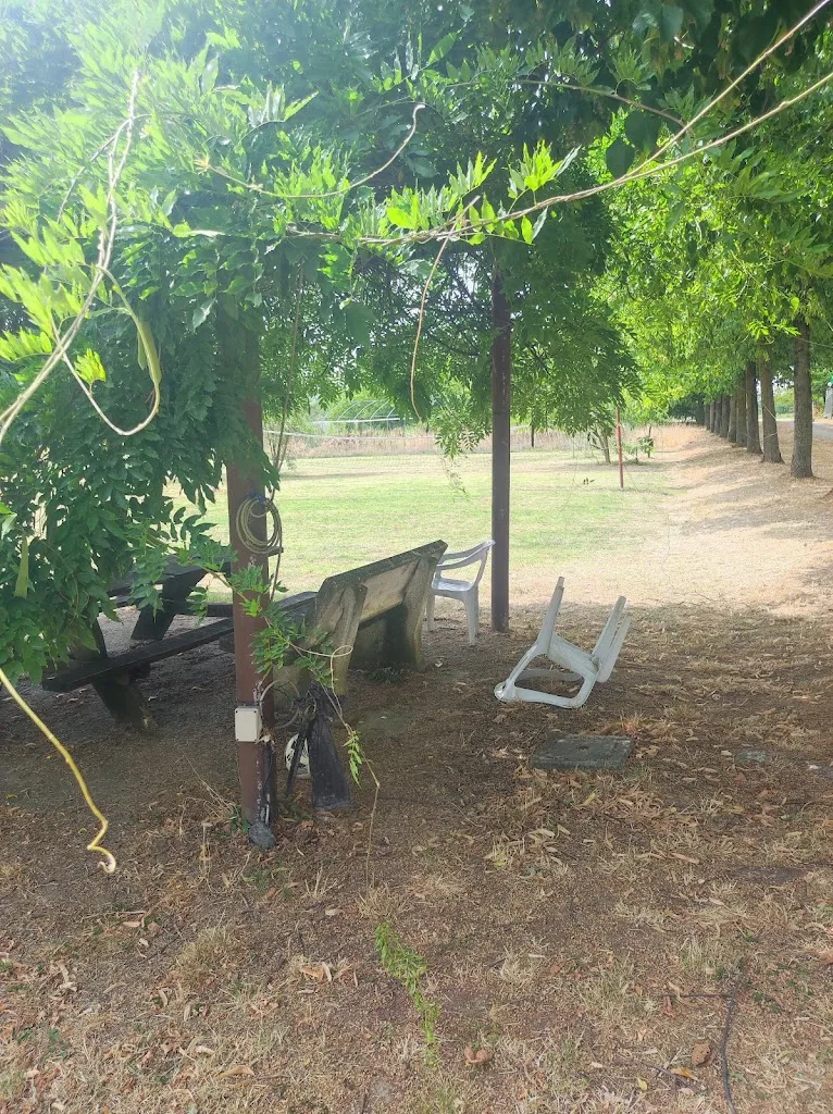 Andreea Madalina Aloman_Agriturismo La Quercia Verde_Alseno_review