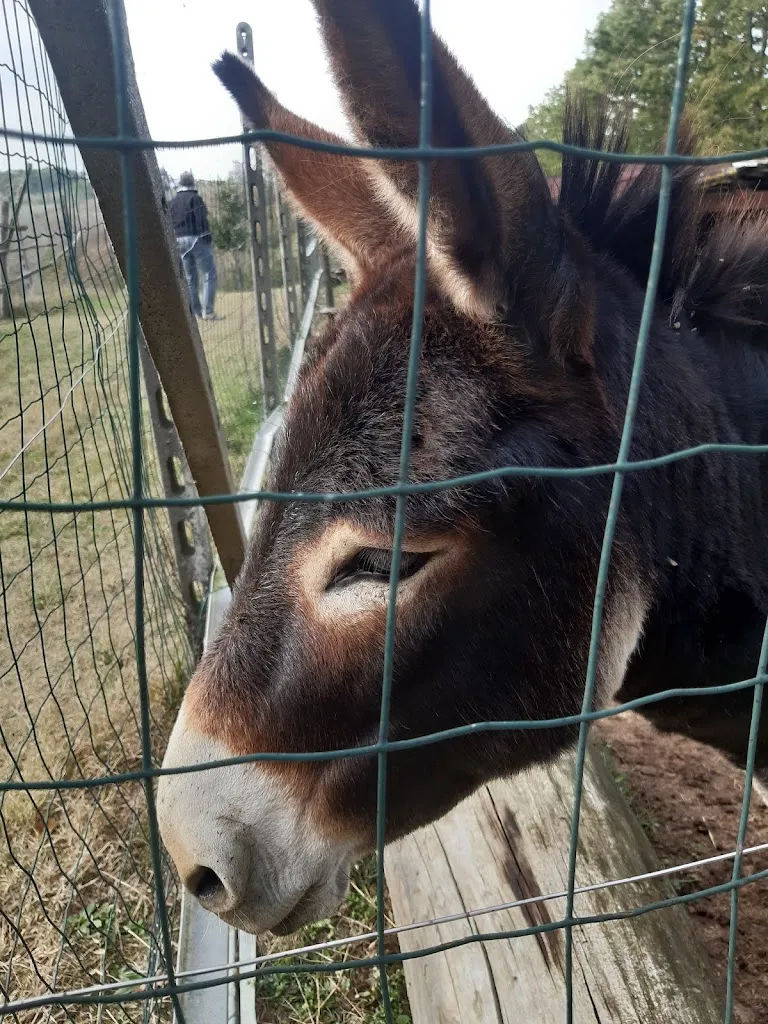 Agriturismo La Quercia Verde_Alseno_slider_image_3