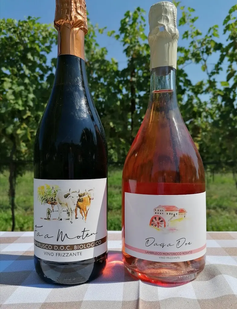 Menu_Agriturismo Bellarosa Bio_Albinea_image_7