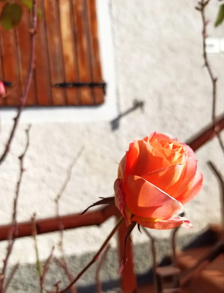 Pier Paolo Ficarelli_Podere Broletto Azienda Agricola_Albinea_review