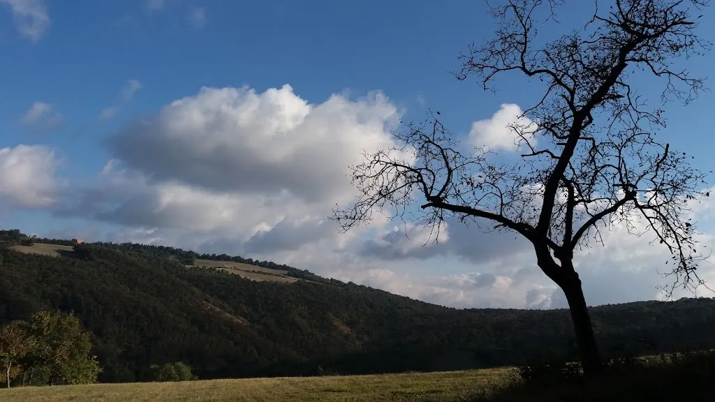 Pholà Arenbi restaurant in Albinea