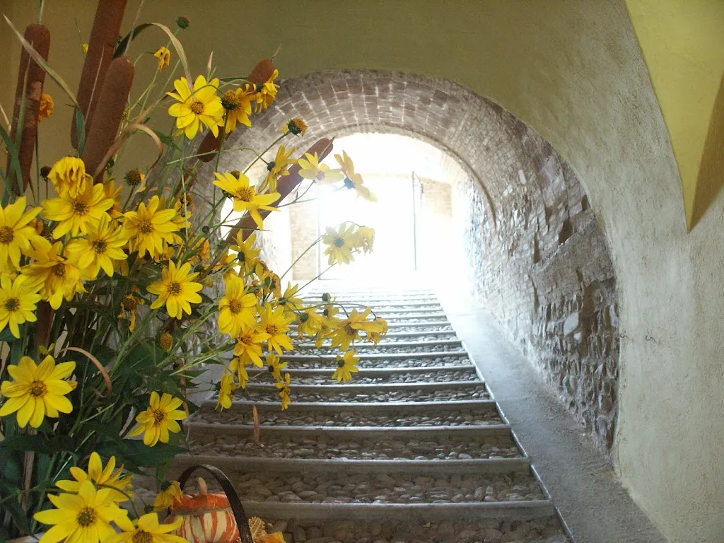 Rostaria Al Castello_Arceto_slider_image_3