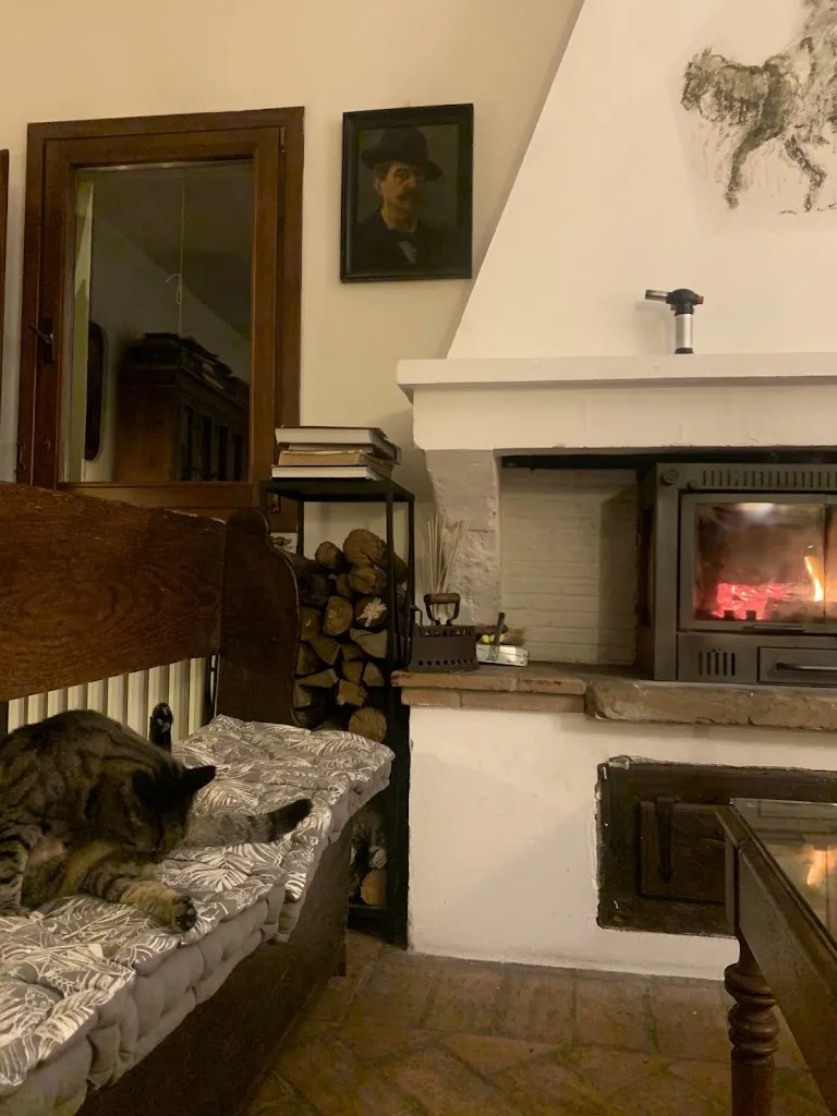 Sebnem Yildiz_Agriturismo Il Cucco_Altedo_review