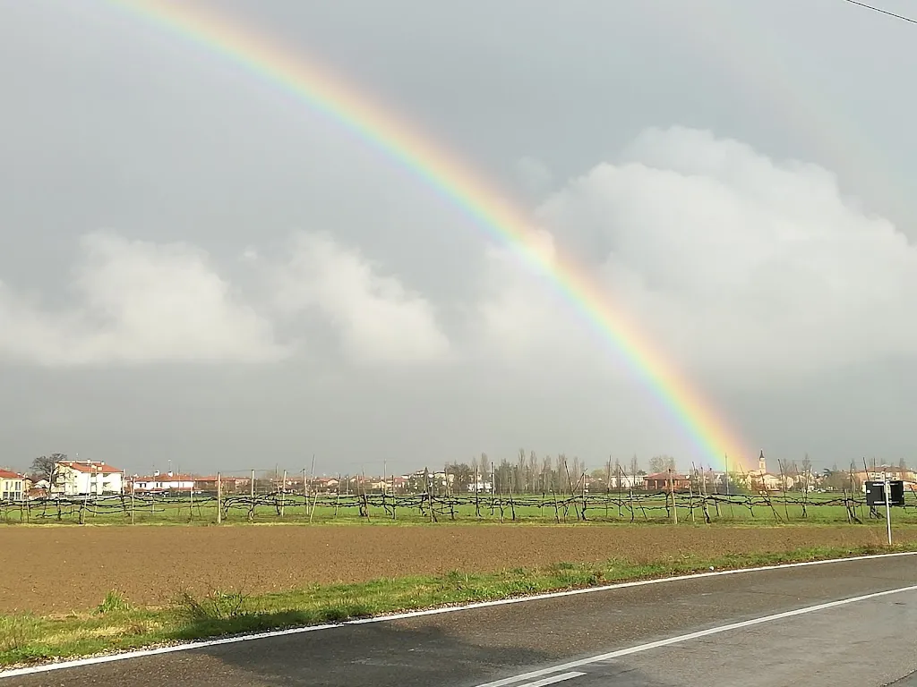 Europa Club Ristorante_Argelato_slider_image_2