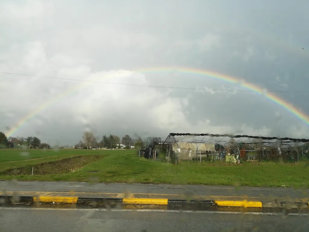 Europa Club Ristorante_Argelato_slider_image_3