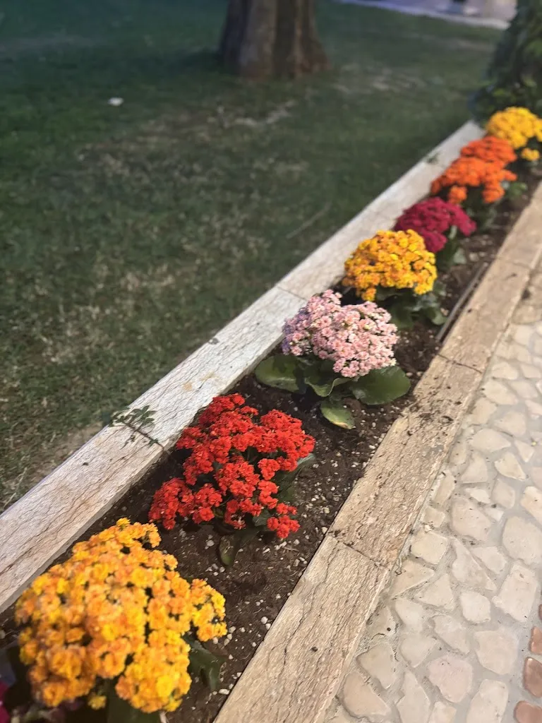 Geraldine Gilford_Nero balsamico_Baggiovara_review